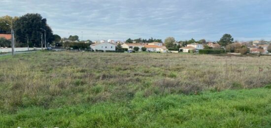 Terrain à bâtir à Meschers-sur-Gironde, Nouvelle-Aquitaine