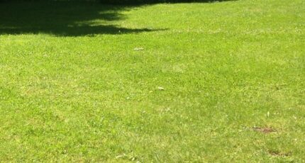 Boullay-les-Troux Maison neuve - 2445775-3233annonce120260303Snulb.jpeg Maisons France Confort