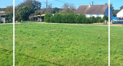 Villeneuve-sur-Cher Maison neuve - 2488151-11209annonce12026041744hTX.jpeg Maisons France Confort