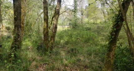 Sallebœuf Maison neuve - 2488459-11266annonce120260417vyzcX.jpeg Maisons France Confort