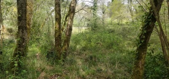 Terrain à bâtir à Sallebœuf, Nouvelle-Aquitaine