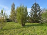 Terrain à bâtir à Le Porge (33680) 2488395-11276annonce120260417E3O3S.jpeg Maisons France Confort