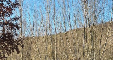 Mézens Maison neuve - 2488418-2684annonce220260417B3fyu.jpeg Maisons France Confort