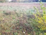 Terrain à bâtir à La Sauve (33670) 2488618-11266annonce120260417QTAd1.jpeg Maisons France Confort