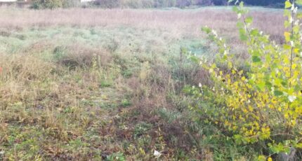 La Sauve Terrain à bâtir - 2488618-11266annonce120260417QTAd1.jpeg Maisons France Confort