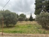 Terrain à bâtir à Saint-Chamas (13250) 2461479-11837annonce120260319rn6fI.jpeg Maisons France Confort