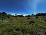 Terrain à bâtir à Roquebrune-sur-Argens (83520) 2488847-3701annonce120260418HHzW9.jpeg Maisons France Confort