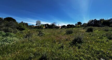 Roquebrune-sur-Argens Terrain à bâtir - 2488847-3701annonce120260418HHzW9.jpeg Maisons France Confort