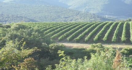 Cournanel Maison neuve - 2488902-10986annonce120260418cx6yq.jpeg Maisons France Confort