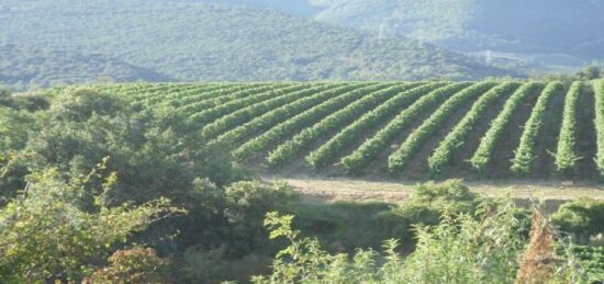 Terrain à bâtir à Cournanel, Occitanie