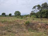 Terrain à bâtir à Fréjus (83600) 2461710-5163annonce1202603199WRbB.jpeg Maisons France Confort