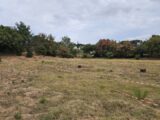 Terrain à bâtir à Fréjus (83600) 2461710-5163annonce420260319RkHlD.jpeg Maisons France Confort