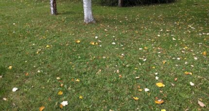 Baulne Terrain à bâtir - 2391935-11705annonce4202602135e7xN.jpeg Maisons France Confort