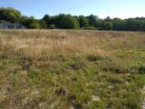 Terrain à bâtir à Château-Landon (77570) 2429168-11705annonce420260213gkwpP.jpeg Maisons France Confort