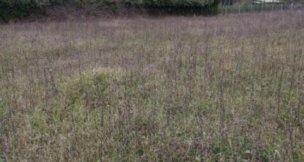 Château-Landon Terrain à bâtir - 2429161-11705annonce420260213Kr1RQ.jpeg Maisons France Confort