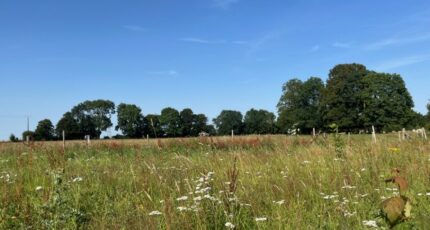 Vismes Terrain à bâtir - 2392273-5042annonce2202601142BksU.jpeg Maisons France Confort