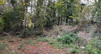 Caours Terrain à bâtir - 2432164-5042annonce3202602172kkCE.jpeg Maisons France Confort