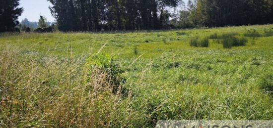Terrain à bâtir à Marconnelle, Hauts-de-France