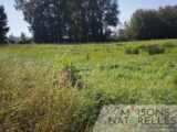 Maison à construire à Marconnelle (62140) 2391845-10209annonce120260113scmQO.jpeg Maisons France Confort