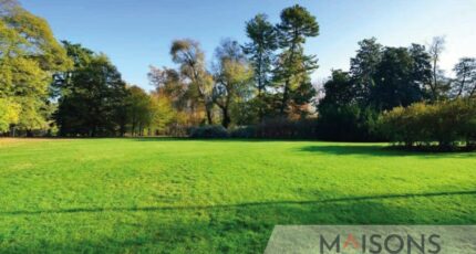 Vieil-Hesdin Terrain à bâtir - 2391863-10209annonce120260113fEnSf.jpeg Maisons France Confort