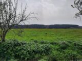 Terrain à bâtir à Roannes-Saint-Mary (15220) 2489440-6976annonce2202505158B5pT.jpeg Maisons France Confort