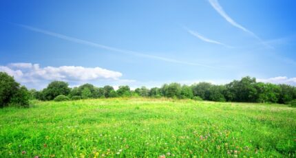 Camblanes-et-Meynac Terrain à bâtir - 2489493-11383annonce420260420xAVWT.jpeg Maisons France Confort