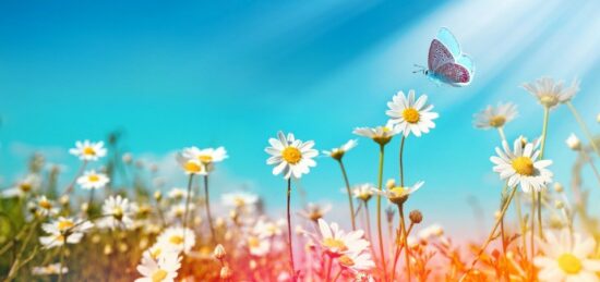 Terrain à bâtir à Gujan-Mestras, Nouvelle-Aquitaine