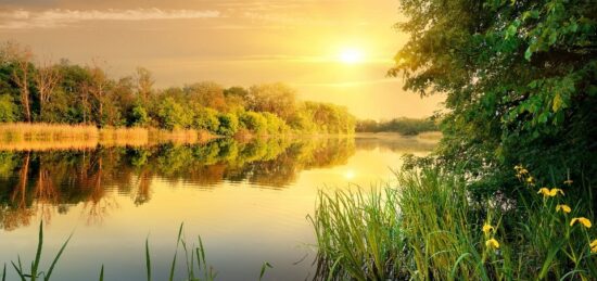Terrain à bâtir à Le Teich, Nouvelle-Aquitaine