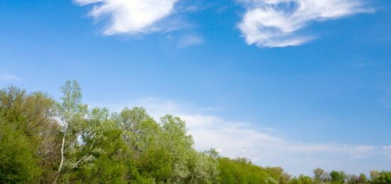 Terrain à bâtir à Gujan-Mestras, Nouvelle-Aquitaine