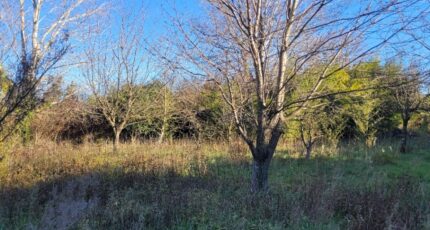 Cruas Terrain à bâtir - 2489574-812annonce520251229BXi5y.jpeg Maisons France Confort