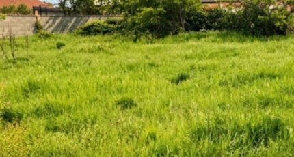 Plaisance-du-Touch Terrain à bâtir - 2485835-11845annonce220260415T01AJ.jpeg Maisons France Confort