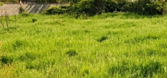 Terrain à bâtir à , Haute-Garonne