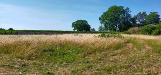 Terrain à bâtir à Louzac-Saint-André, Nouvelle-Aquitaine