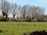 Terrain à bâtir à Thérondels (12600) 2489809-3828annonce220260420EWELb.jpeg Maisons France Confort