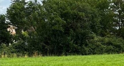 Pineuilh Maison neuve - 2453023-4459annonce120241030dBlSk.jpeg Maisons France Confort