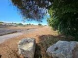 Terrain à bâtir à Fos-sur-Mer (13270) 2489999-11837annonce520260420H6dmm.jpeg Maisons France Confort