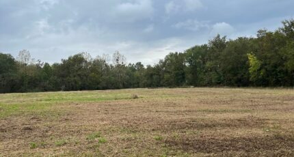 Saint-André-de-Cubzac Terrain à bâtir - 2392675-11254annonce1202601142AFb7.jpeg Maisons France Confort