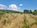 Terrain à bâtir à Garéoult (83136) 2395640-11137annonce1202601167lNv1.jpeg Maisons France Confort