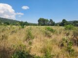 Terrain à bâtir à Garéoult (83136) 2395640-11137annonce320260116zL4BN.jpeg Maisons France Confort