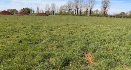 Thérondels Terrain à bâtir - 2490027-3828annonce220260421ruxkx.jpeg Maisons France Confort