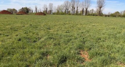 Thérondels Terrain à bâtir - 2489867-3828annonce2202604202tze1.jpeg Maisons France Confort