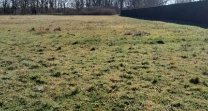 Ludon-Médoc Terrain à bâtir - 2427267-1686annonce120260212oE1yT.jpeg Maisons France Confort