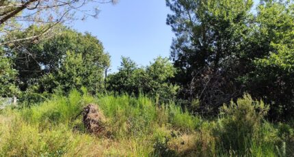 Vendays-Montalivet Maison neuve - 2490197-11260annonce120260421TwTfy.jpeg Maisons France Confort