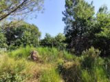 Terrain à bâtir à Vendays-Montalivet (33930) 2490185-11260annonce120260421TwTfy.jpeg Maisons France Confort