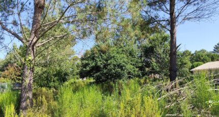 Vendays-Montalivet Maison neuve - 2490236-11260annonce2202604218hqIo.jpeg Maisons France Confort