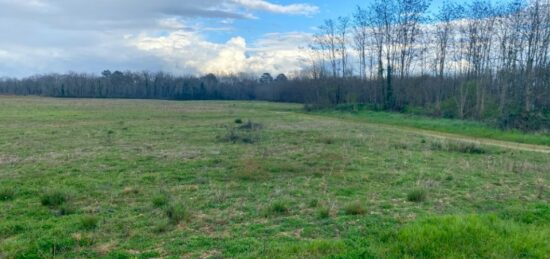 Terrain à bâtir à Landiras, Nouvelle-Aquitaine