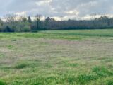 Terrain à bâtir à Podensac (33720) 2458511-11795annonce120260317PtBXb.jpeg Maisons France Confort
