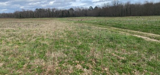 Terrain à bâtir à , Gironde