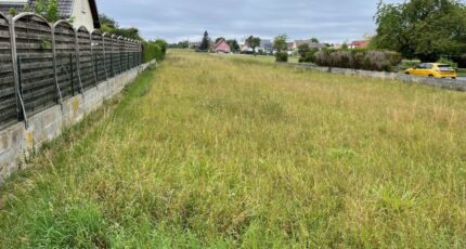 Bantzenheim Terrain à bâtir - 2490381-11028annonce120250821mbs5T.jpeg Maisons France Confort