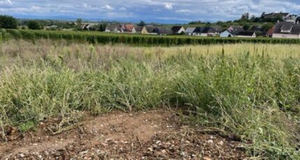 Beblenheim Maison neuve - 2490378-11028annonce120250721RQsHQ.jpeg Maisons France Confort